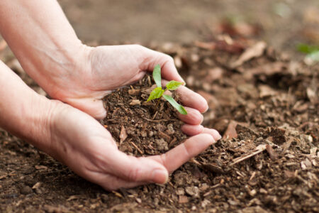 Dokonce i zastánci odpovědnějšího způsobu života šetrného k životnímu prostředí často neví, o čem je vlastně „udržitelnost“. Aneb TOP mýty o udržitelnosti životního prostředí