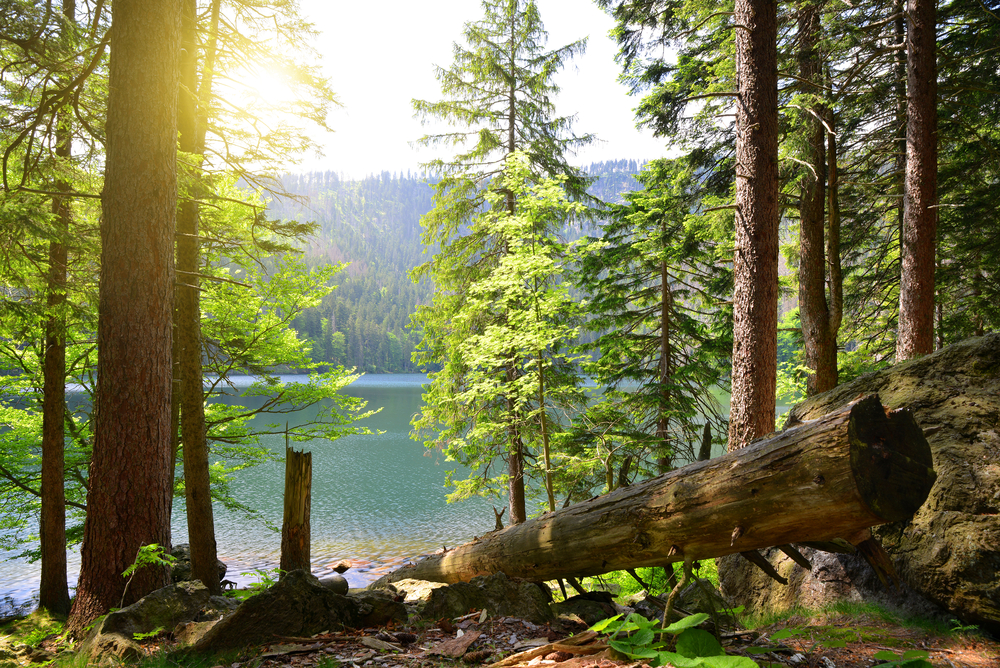 Nejkrásnější jezera Česka. Ne ve všech je ovšem dovoleno se koupat