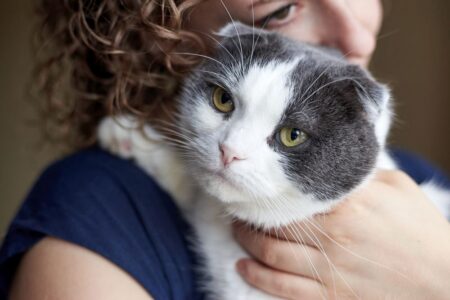 Kočky jsou rozenými doktory. Jejich předení je zázračný nástroj proti mnoha zdravotním neduhům