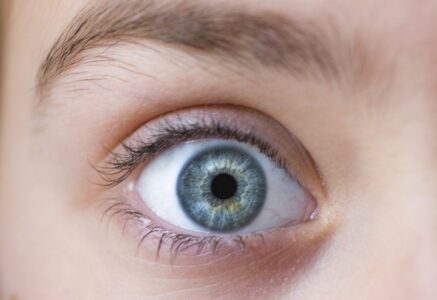 Máte skutečný cit pro detail? Pak vám určitě nebude dělat problém najít na tomto obrázku jednu labuť