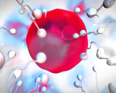 Jaká byla šance, že se narodíte právě vy a čemu můžete děkovat za váš život?