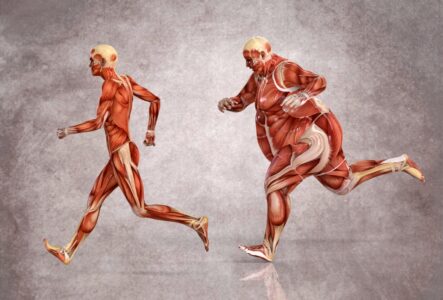 Co se s vaším tělem děje, když se nehýbete? Nejen obyčejné sezení má devastující účinky a podporuje tucty závažných onemocnění