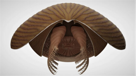 Tento titánský predátor kraloval prehistorickým mořím. Jde o jednoho z doposud nejpodivnějších objevených tvorů