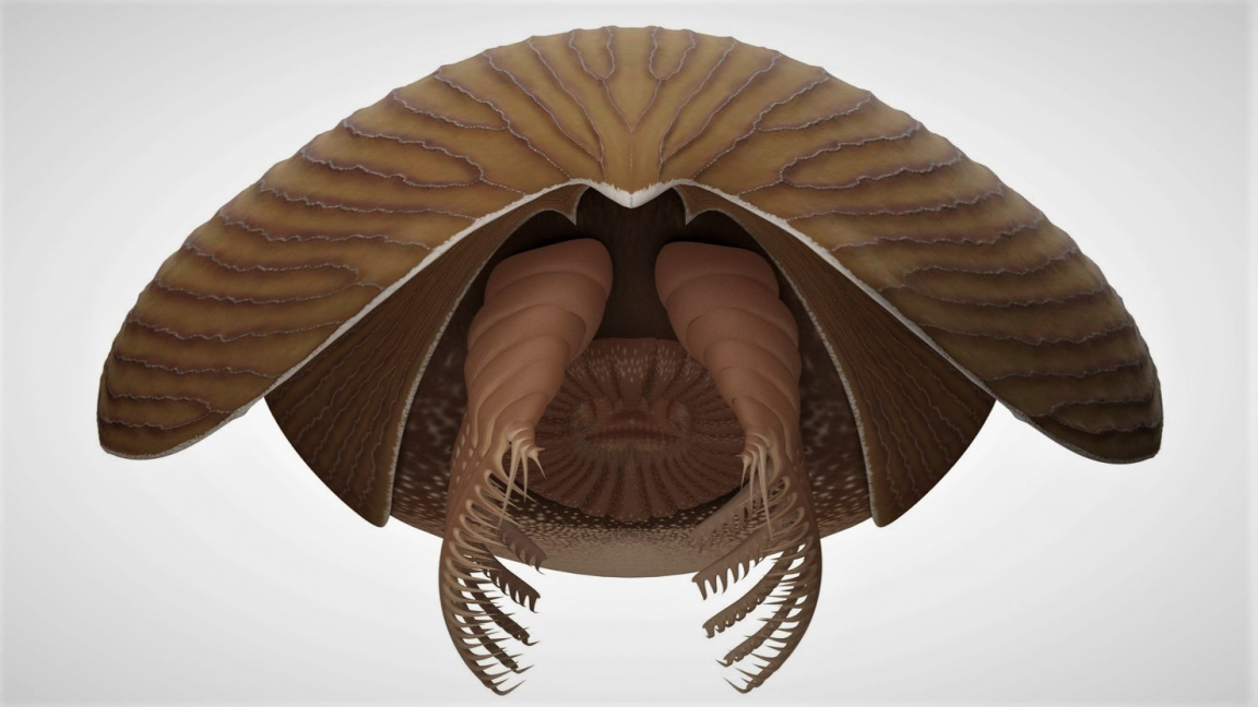 Tento titánský predátor kraloval prehistorickým mořím. Jde o jednoho z doposud nejpodivnějších objevených tvorů