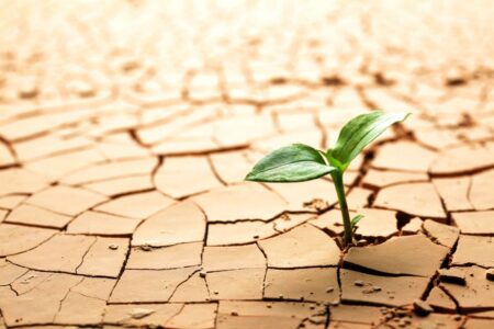 Bod zvratu klimatu nastane za pouhých 10 let, urgují odborníci. Pak už nebude cesty zpět