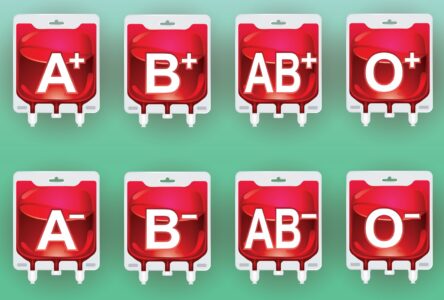 Tatínku klid, syn je váš. To bude asi bombajskou krví. Případ vzácné krevní skupiny hýbe světem