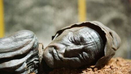 Vražda stará 2000 let má oběť s úsměvem. Co stojí za spokojeným výrazem Tollundské mumie?