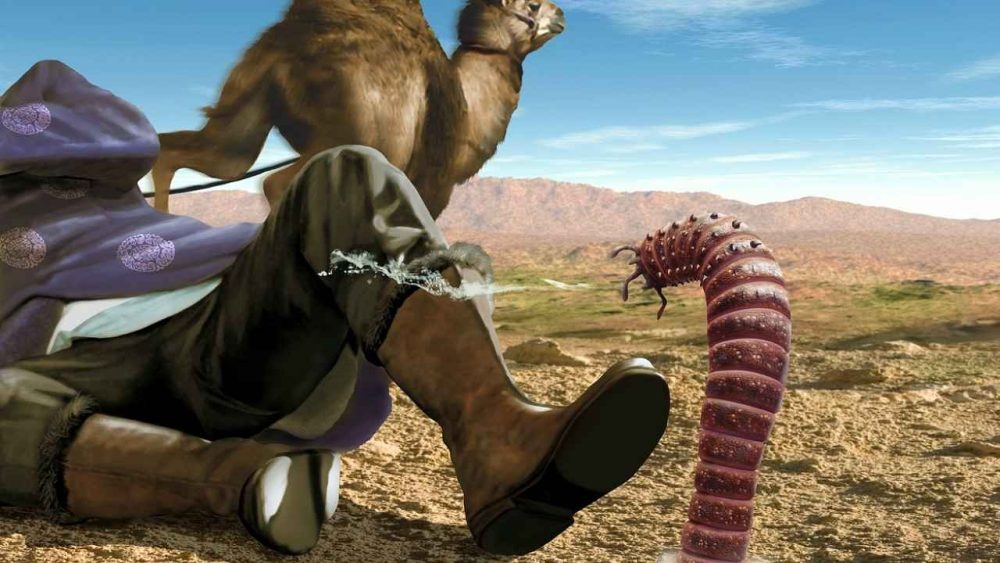 Mongolský pouštní červ nahání badatelům hrůzu. Přes 1 metr dlouhý, pokrytý smrtelným jedem zabíjí pouhým dotykem