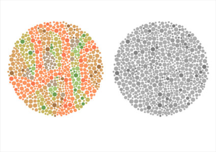 Jak rychle najdete odlišného člena stáda? Procvičte si postřeh a rychlost vnímání, jen ti nejlepší uspějí