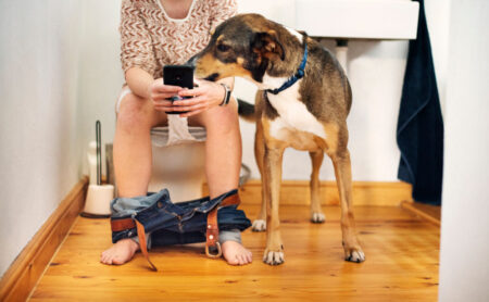 Hlubší významy psí mimiky. Co znamená naklonění hlavy, kroužení před zalehnutím či doprovázení páníčka na WC