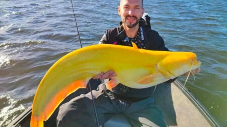 Ulovil extrémně vzácného, jasně žlutého samce. Na vlastní oči ho bohužel česká komunita rybářů nespatří