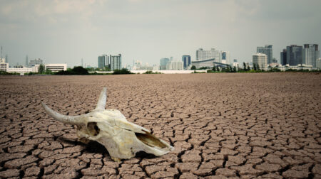 Vědci varují před dalším masovým vymíráním druhů. Již teď jsou na Zemi patrné signály, které ho prozrazují