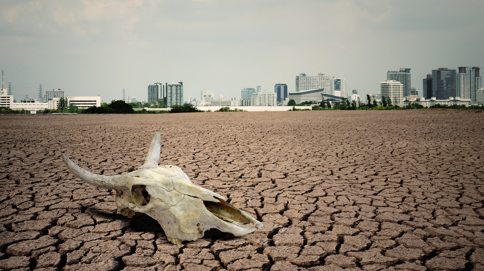 Vědci varují před dalším masovým vymíráním druhů. Již teď jsou na Zemi patrné signály, které ho prozrazují