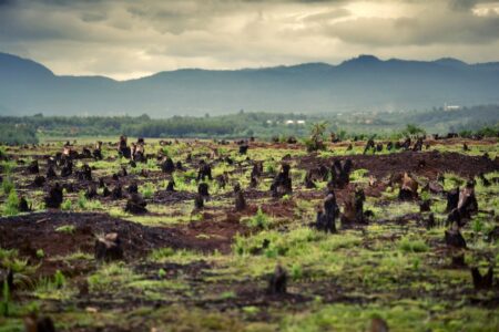 Odlesňování amazonského pralesu dosáhlo nejvyššího stupně za posledních 15 let. Odborníci bijí na poplach, dopady mohou být devastující