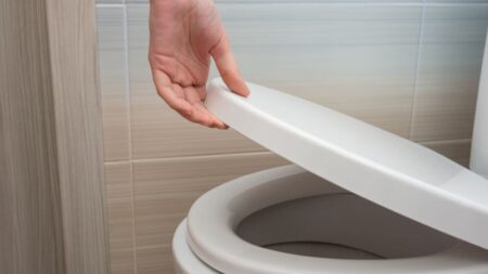 Víko toalety při splachování vždy dejte dolů. Častý nešvar má děsivý dopad na zdraví vaše i ostatních členů rodiny