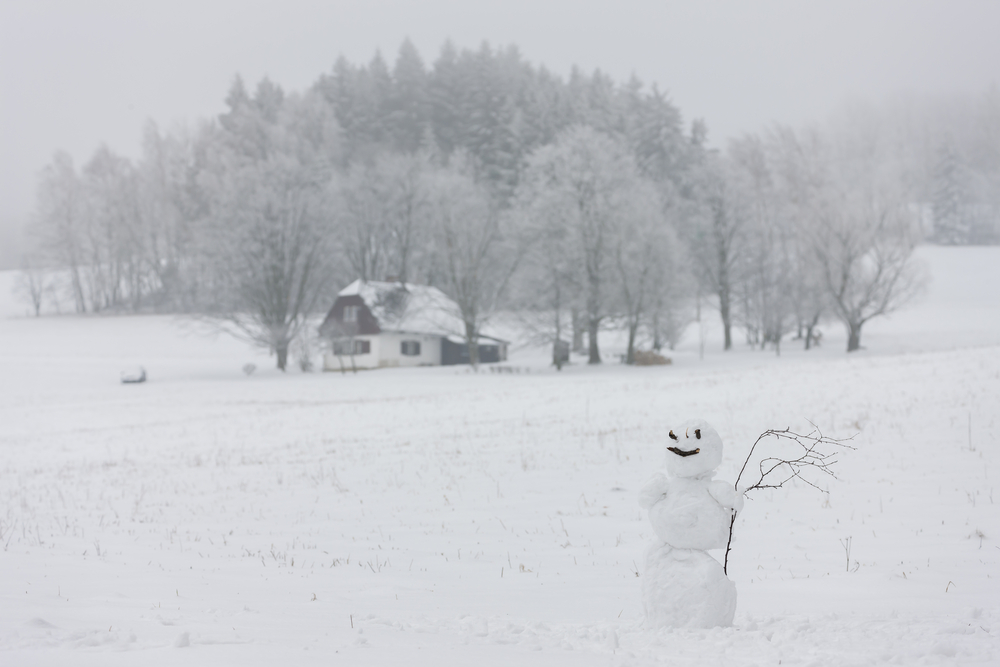 Kdo pamatuje mrazivý počátek roku 1979? Bez uhlí, bez vlaků a s distanční výukou bez internetu