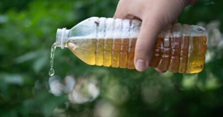 Nemusíte pít vlastní moč, abyste přežili. Těchto 8 triků vám zachrání život, pokud zabloudíte mimo civilizaci