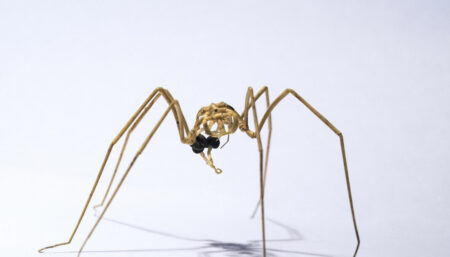 Myslíte si, že víte, s kým vším sdílíme tuto planetu? Pak jste na omylu