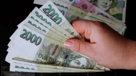 Než byly zavedeny peníze, jak je známe dnes, platilo se vším možným. Jak šla historie a proč vlastně vznikly?