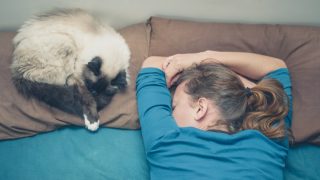 Kočičí společnost pomáhá zvládnout stres a nejen to. Spává s vámi tento mazlíček v posteli? Ví, proč to dělá