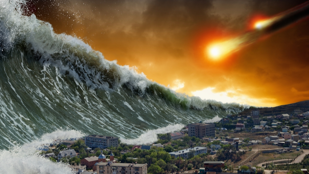 Uhádnete, které bakteriální a zvířecí druhy by nahradily lidstvo, kdyby vymřelo? Je jich celkem 10