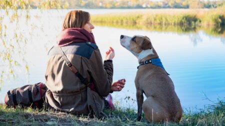 Dětská logopedka naučila svého psa mluvit. Jak tohoto úžasného průlomu dosáhla?