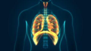 Špatné dýchání způsobuje celkovou únavu. Naučte se správně okysličovat systém pomocí několika krátkých cvičení