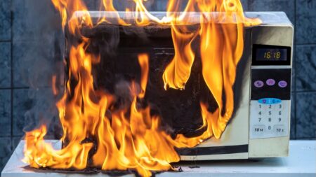 Ohříváním některých potravin v mikrovlnce riskujeme své zdraví. Nejde jen o její poničení, ale také o uvolňování výparů