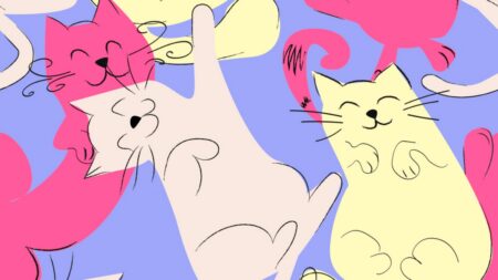 Vyzkoušejte si na obrazovém testu, jaký máte postřeh. Najdete mezi kočkami všechny ptáky, nebo vám nějaký uletí?