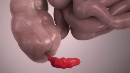 Části a funkce těla, které dnešní člověk nepotřebuje. Jaký byl prvotní účel husí kůže či zubů moudrosti?