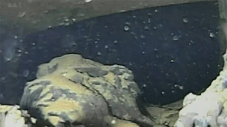 Vědci získali první snímky z nitra jaderných reaktorů ve Fukušimě. Pohled na ně je děsivý, ale přinesly zásadní informace