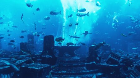 Na vrcholku starověké podmořské hory byla objevena tajuplná cesta do Atlantidy. Sestává ze žlutých cihel