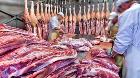 „Spor o maso“ stále nemá vítěze. Když ho přestanete jíst, na vaše zdraví to bude mít značný dopad – pozitivní i negativní