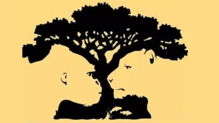 Kouzlo optické iluze: Tento obrázek skrývá mnohá tajemství. Co jste viděli jako první a kolik toho odhalíte celkem?