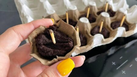 Kávová sedlina funguje lépe, než pepo: Díky ní v přírodě rozděláte oheň raz dva – trik zkušených kempařů