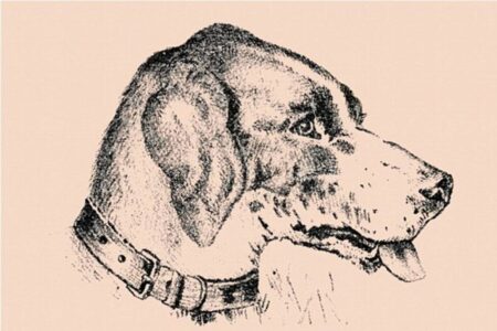 Vidíte na této kresbě něco jiného než psa? Záhadu z 19. století údajně dokáže vyřešit pouze 1 % populace