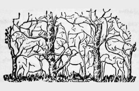 Zadívejte se na obrázek a najděte jedno zvíře. To odhalí, co je na vaší povaze úplně nejlepší