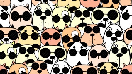 Jste všímaví? Zkuste mezi zvířátky najít srdce a hvězdu. Jen málokdo to svede do 10 sekund