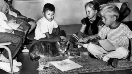 Kočka, která 15 let chodila do školy: S dětmi seděla ve třídě, jedla v jídelně a nesmazatelně se zapsala do historie