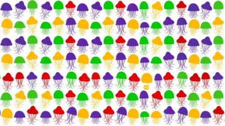 Jste extrovert, introvert, nebo se řadíte mezi ambiverty? Potvrďte si to jednoduchým psychologickým testem