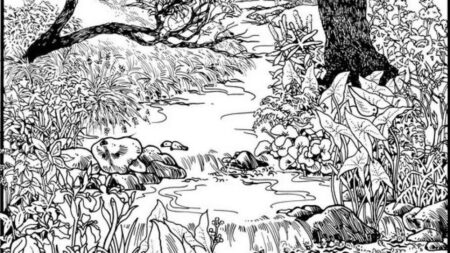 I těm nejpozornějším pozorovatelům dělá problém najít dívku, která se schovala v lese. Co vy?