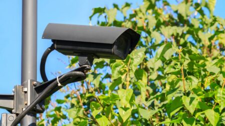 Město žádá veřejnost o pomoc. Kamera v noci zachytila neznámého tvora a nikdo neví, co nebo kdo to je