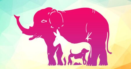 Změřte si své schopnosti. Na obrázku jsou některá zvířata ukrytá natolik dobře, že je mnozí nejsou schopni vidět ani s nápovědou