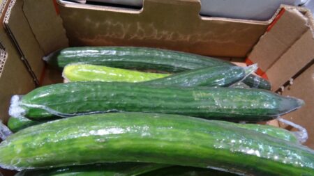 Proč je salátová okurka vždy zabalená do fólie a rozhodně byste ji neměli sundávat před uložením do lednice