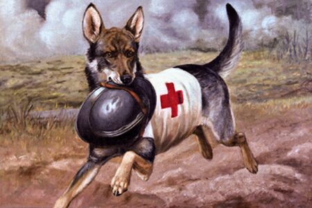 Seznamte s „milosrdnými psy“ – neopěvovanými zvířecími hrdiny 1. světové války