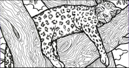 Japonský test pozornosti, který odhaluje riziko vzniku Alzheimerovy choroby. Kolik předmětů jste schopni najít?