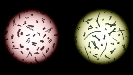 4 nejšpinavější místa každého domu či bytu. Přestože jsou semeništěm bakterií, čistí je jen 10 % populace
