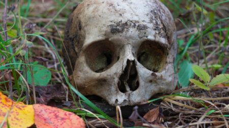 Příběh kanibala, který zabil a snědl svou kamarádku: Začalo to sněním, končí to posedlostí –⁠ přesto je stále na svobodě