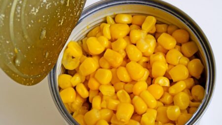 Člověk kukuřici nikdy nestráví. Proč tomu tak je a měli bychom ji vůbec jíst?