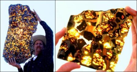 Fukang – nejúžasnější meteorit na Zemi – je k vidění na spoustě místech. Z půlky je tvořen vesmírným drahokamem